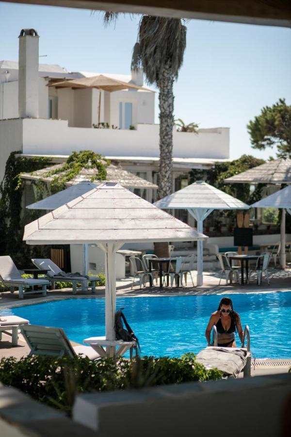 Alkyoni Beach Hotel Naxos City Exterior photo