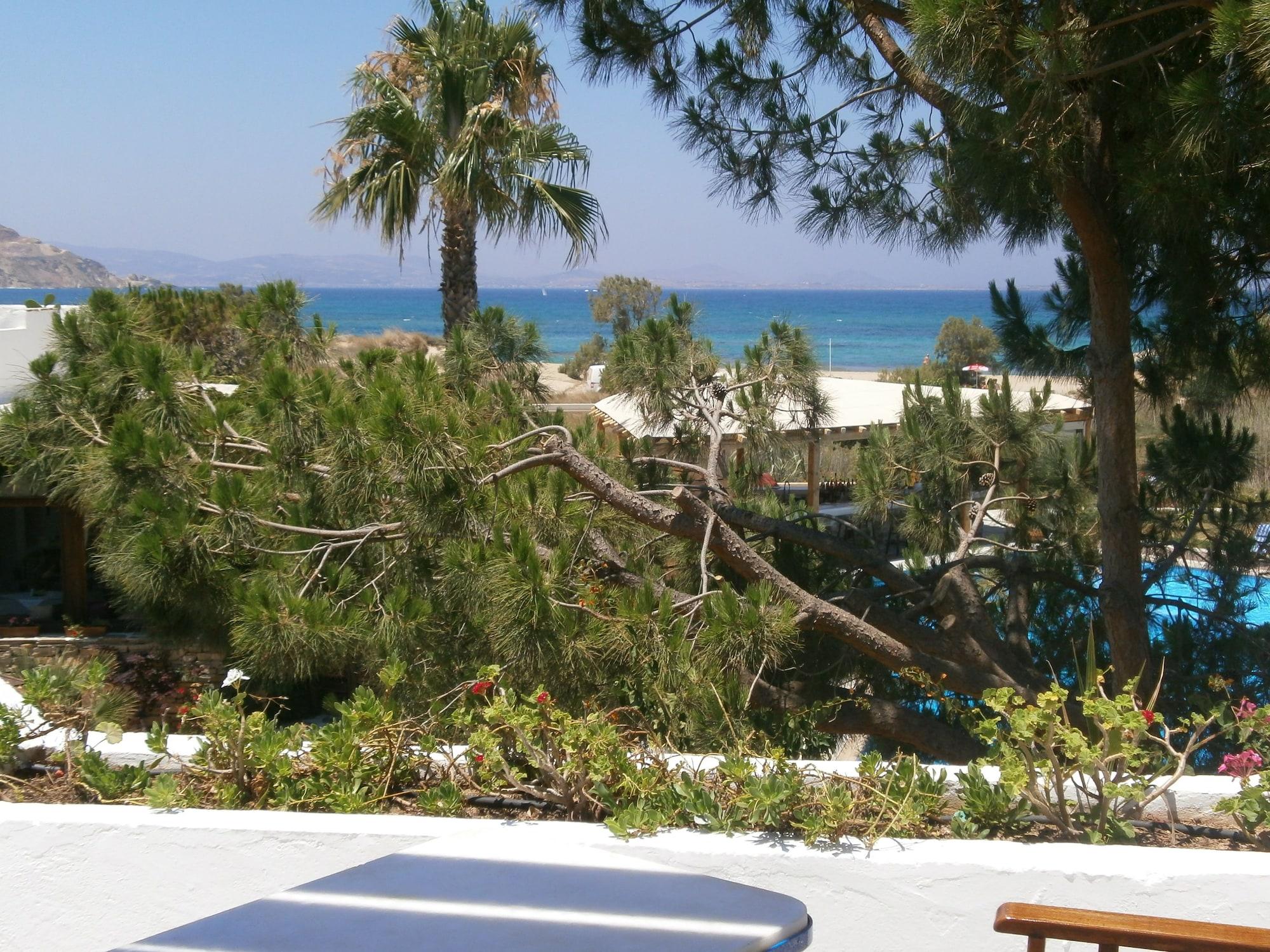 Alkyoni Beach Hotel Naxos City Exterior photo